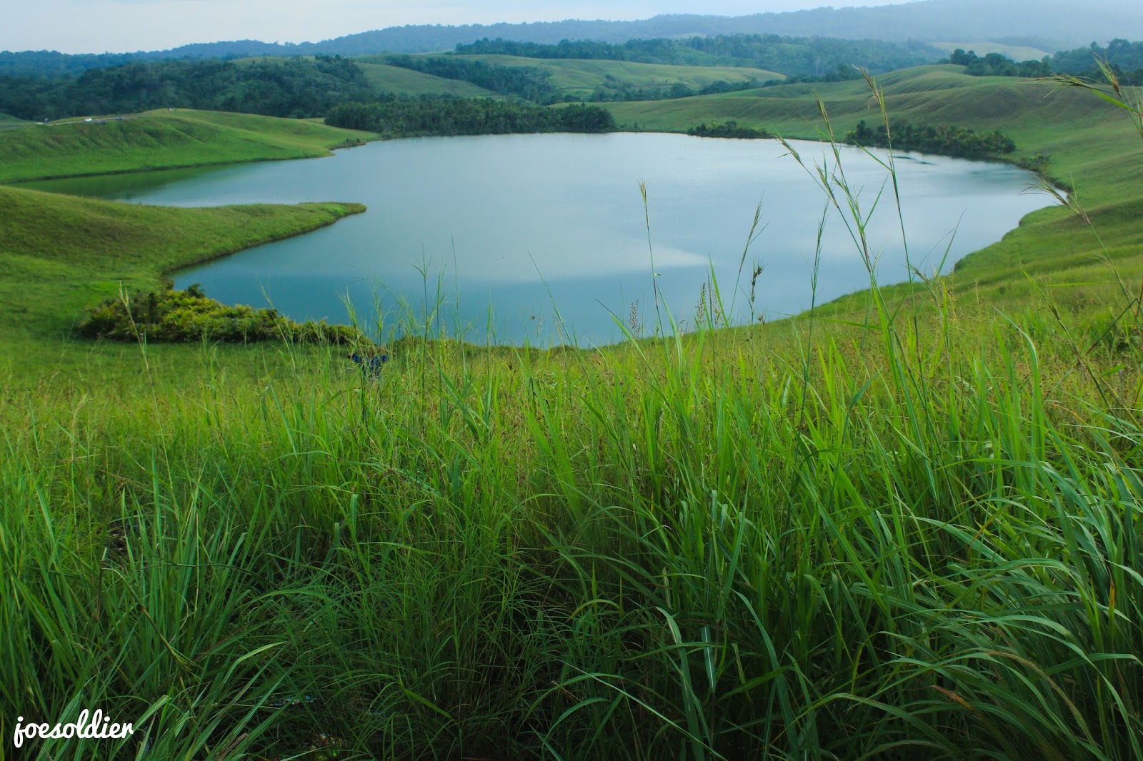 Menyusuri Keindahan Danau Love di Waena: Pesona Tersembunyi di Papua