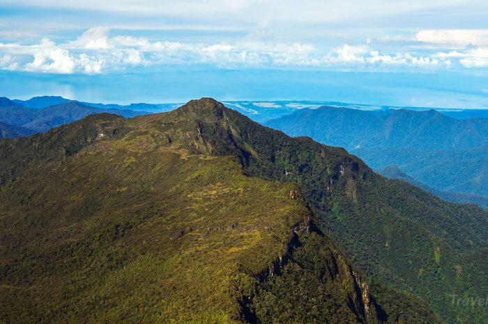 Aceh untuk Petualang: Menaklukkan Gunung Leuser dan Hutan Tropisnya