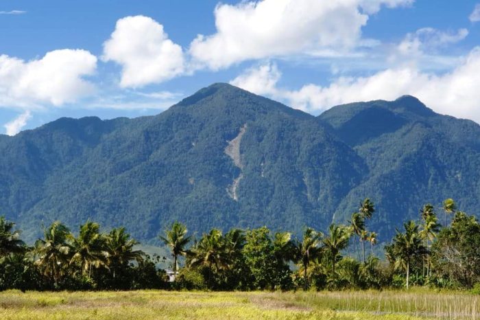 Eksplorasi Alam Papua: Panduan Wisata Alam dan Budaya di Waena
