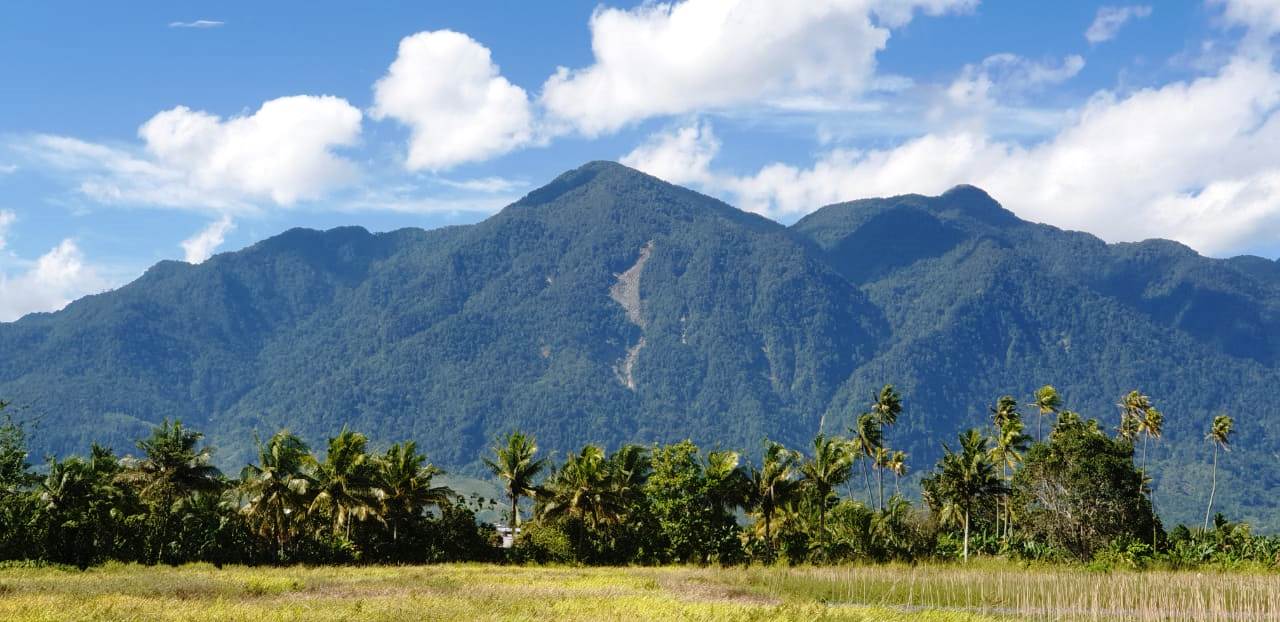 Eksplorasi Alam Papua: Panduan Wisata Alam dan Budaya di Waena

