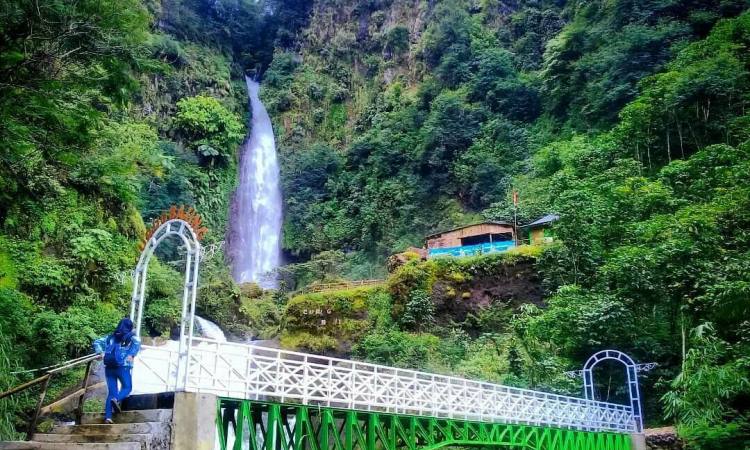 Wisata Alam Curug Bajing: Surga Tersembunyi di Lereng Gunung Rogojembangan