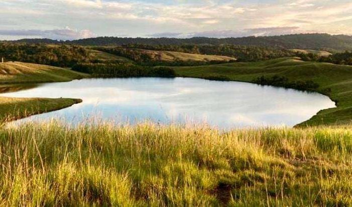 Menikmati Pesona Alam dan Danau Love di Jantung Papua