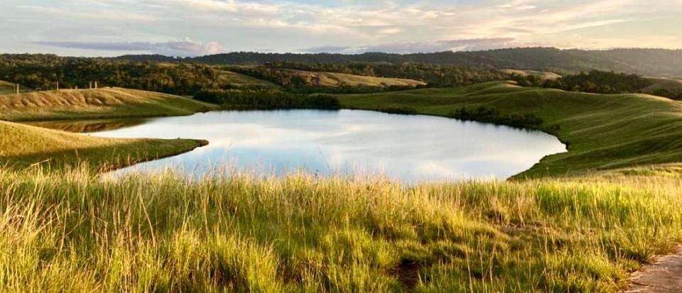 Menikmati Pesona Alam dan Danau Love di Jantung Papua
