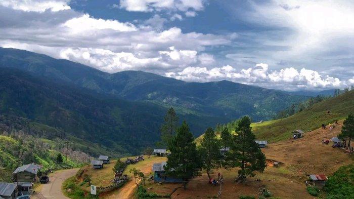 Ekspedisi Ke Pedalaman Gayo: Dari Bukit Kopi hingga Desa Tradisional yang Masih Menjaga Kearifan Lokal