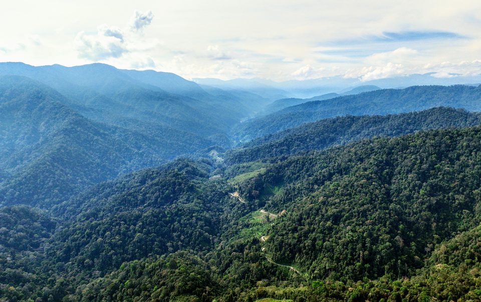Menjelajah Wisata Alam Aceh: Dari Pegunungan Leuser hingga Surga Pantai Ujung Barat Indonesia
