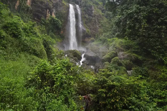 Wisata Petungkriyono Pekalongan: 8 Panduan Destinasi