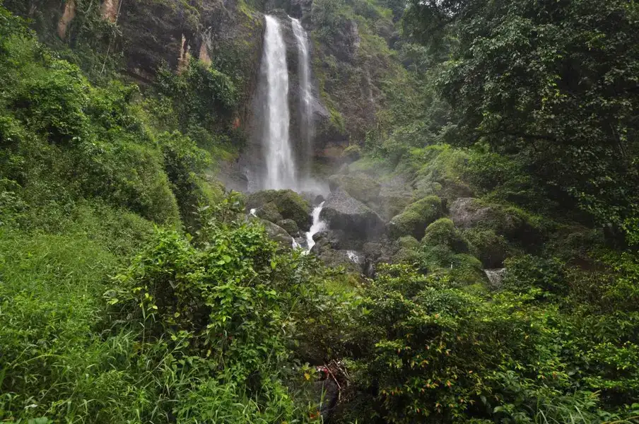 Wisata Petungkriyono Pekalongan: 8 Panduan Destinasi